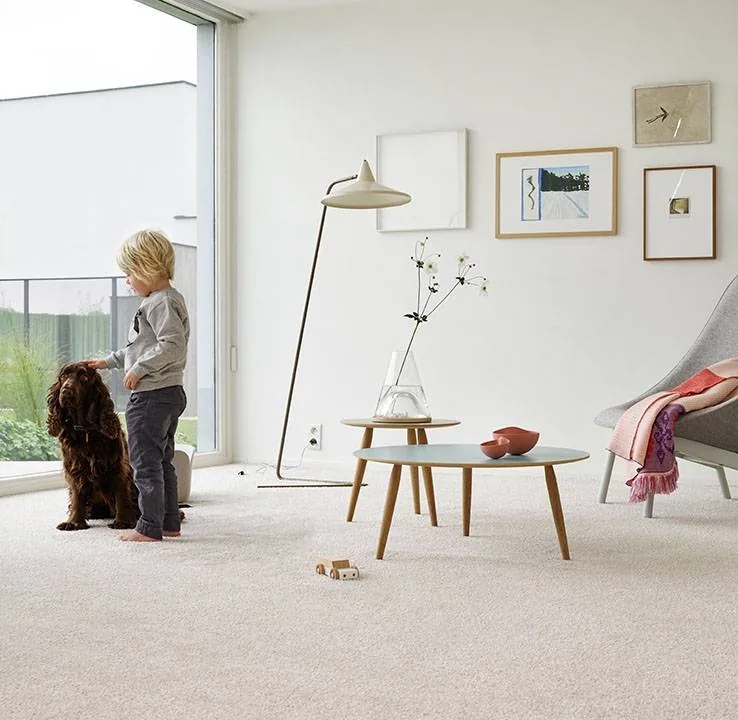Soft carpet for interiors